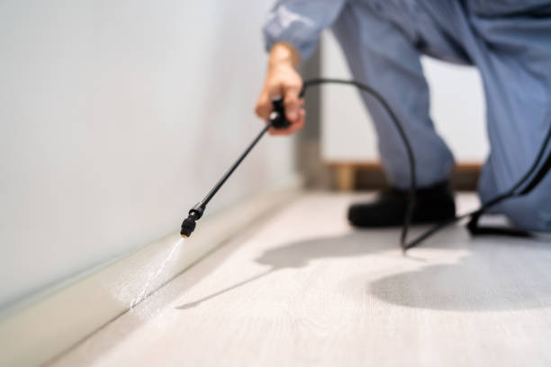 Licensed Termite Control service in Salina, UT - Nex Pest Control