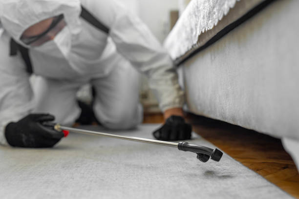 Professional Termite Control technician working in Salina, UT