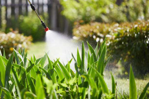 24/7 Emergency Termite Control experts in Salina, UT