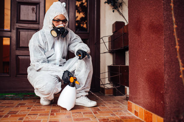 Reliable Termite Control contractor in Salina, UT by Nex Pest Control