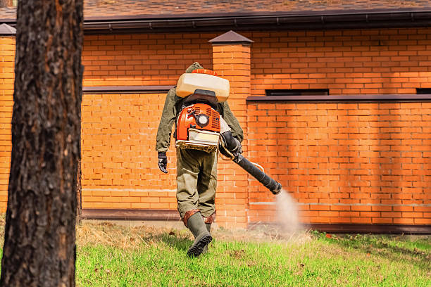 Top rated local Termite Control specialists in Salina, UT